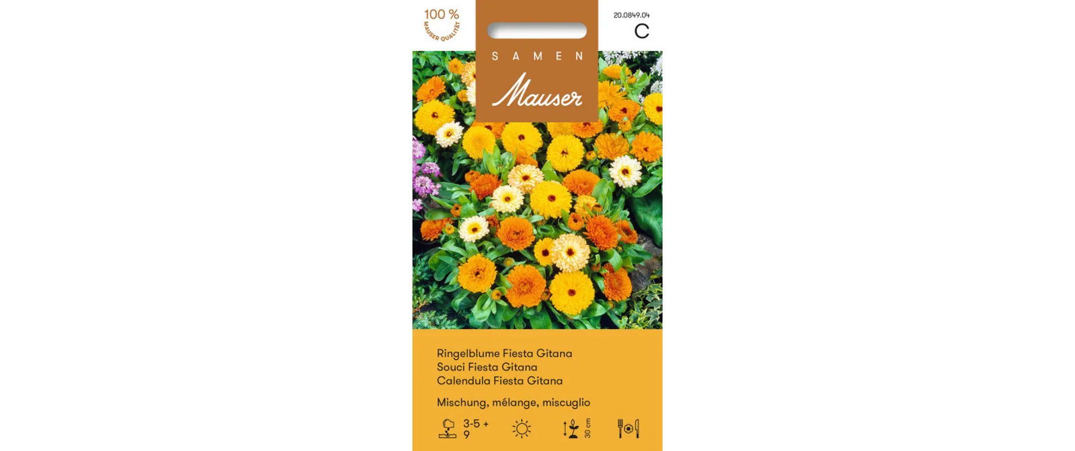 Ringelblume Gitana Fiesta Misch.