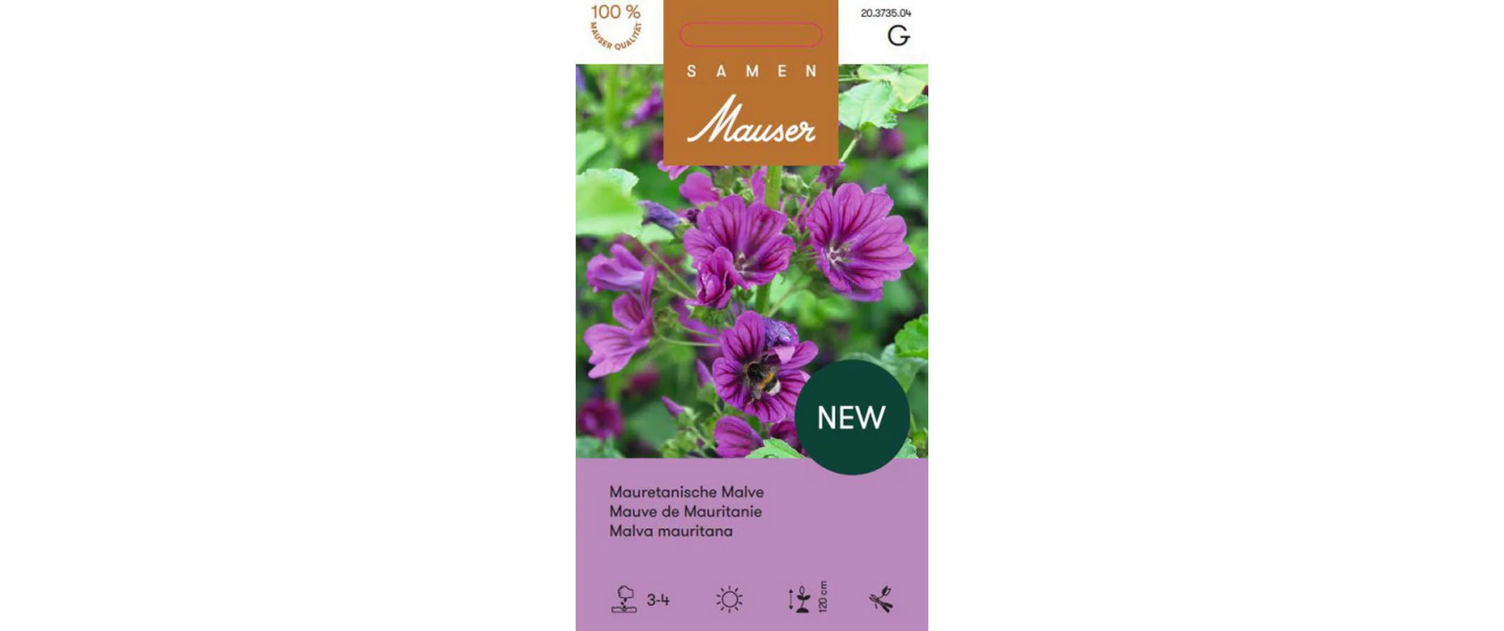 Mauretanische Malve