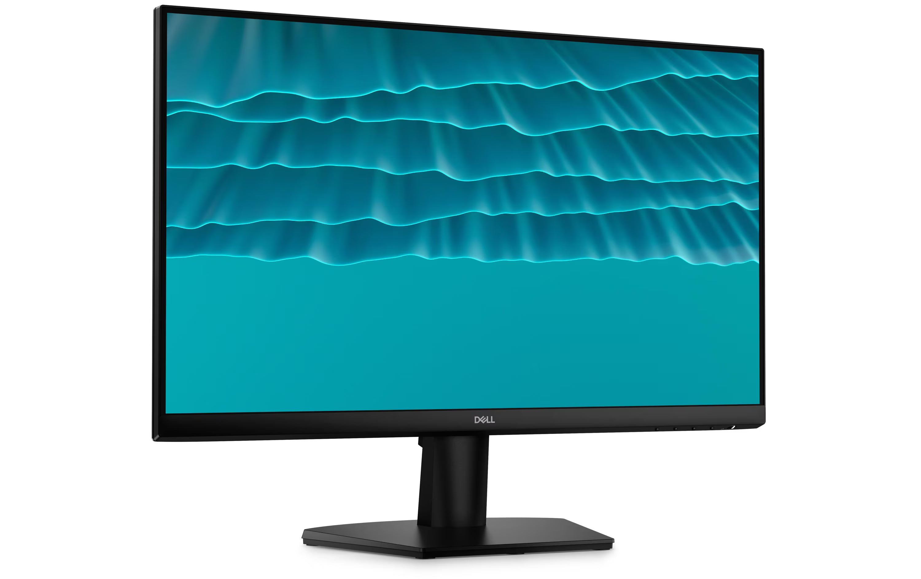 Dell 24
