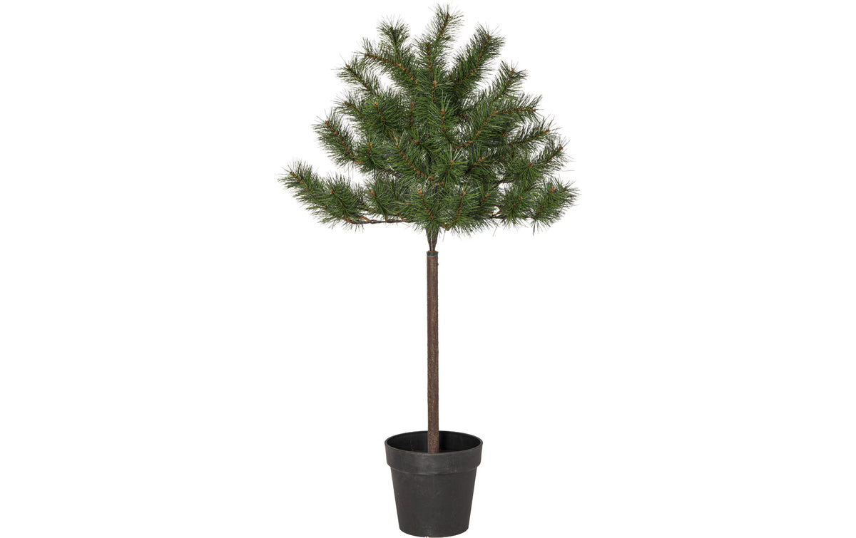 Weihnachtsbaum Tallis Indoor, Grün, 100cm