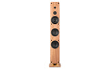 Audizio ARCO-A-LWD