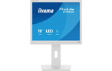 IIYAMA 19B1980S-W1