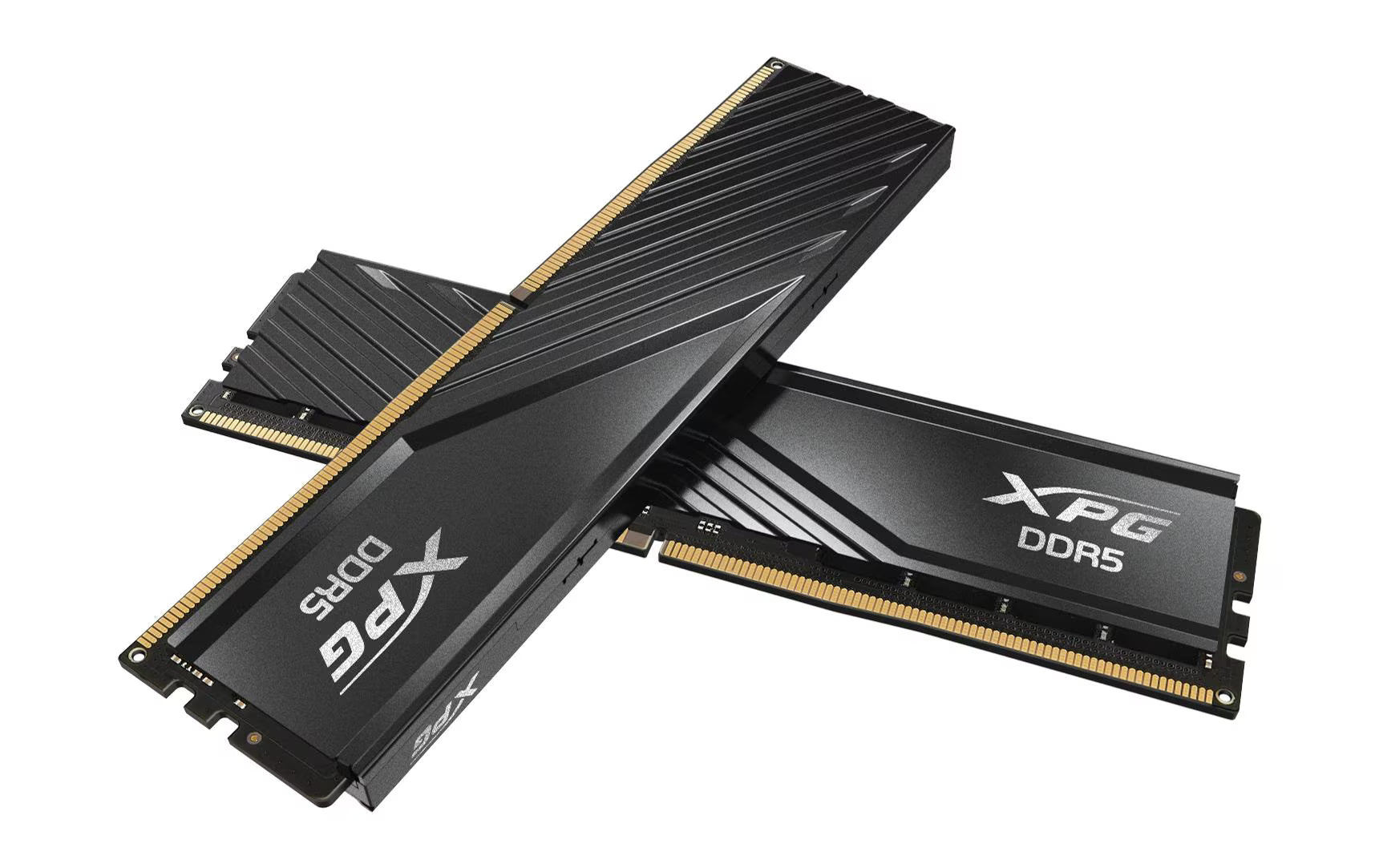 Adata DDR5 8GB 5600MT/s