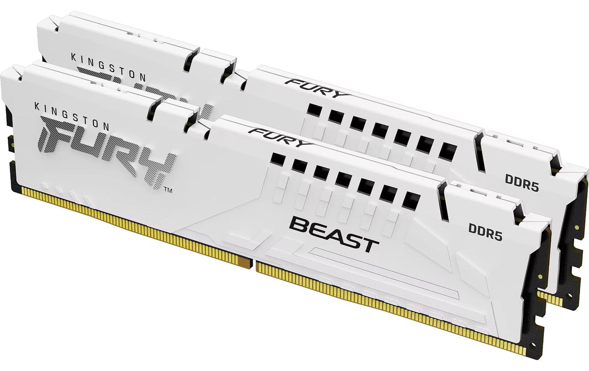 FURY Beast DDR5 64GB 2-Kit 6000MT/s EXPO