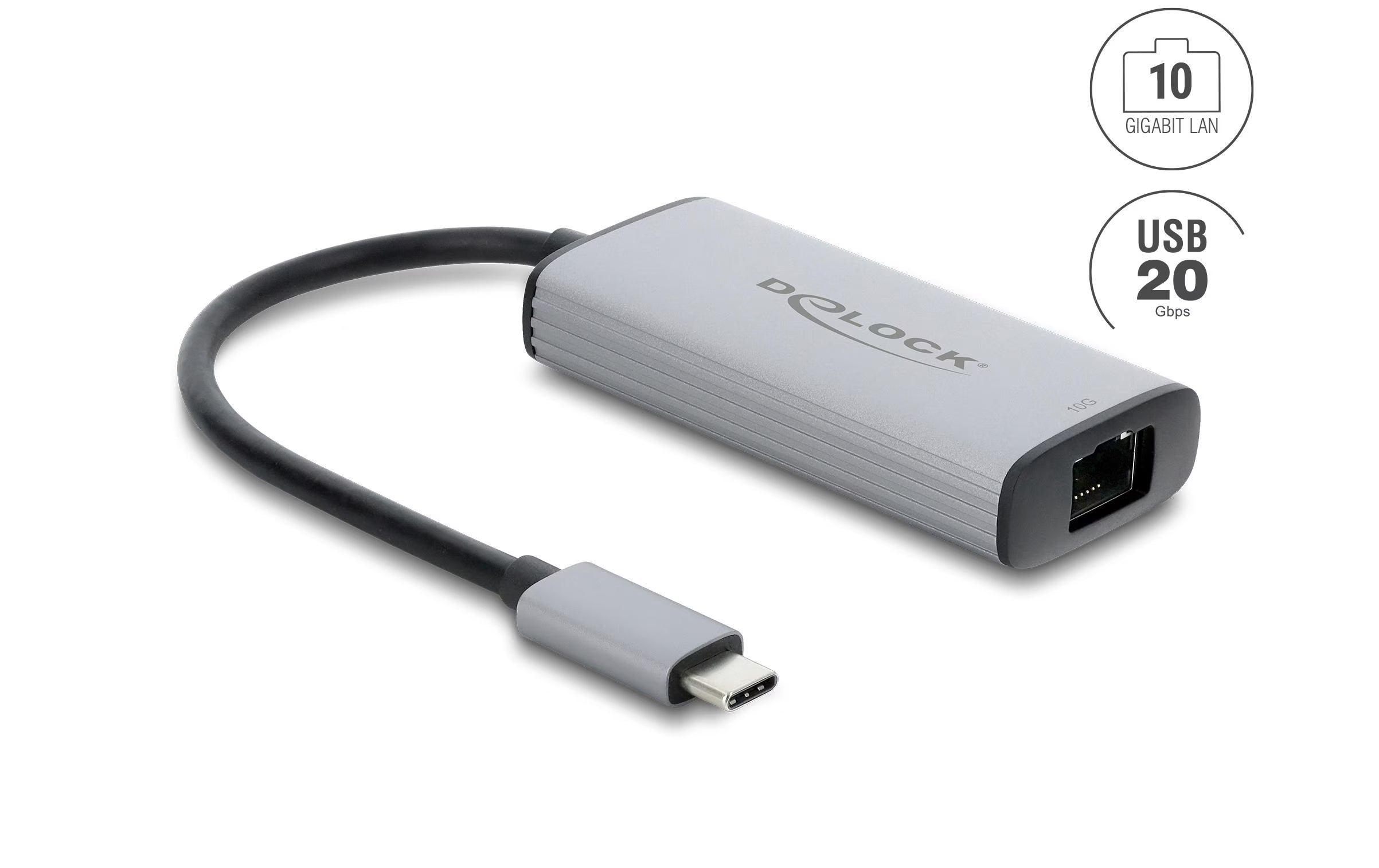 Delock Netzwerk Adapter