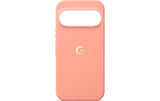 GOOGLE Pixelsnap Case, Canyon
