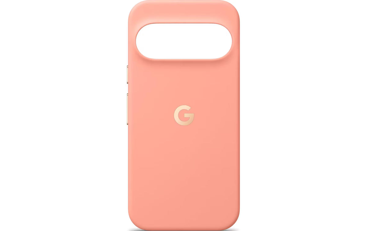 GOOGLE Pixelsnap Case, Canyon