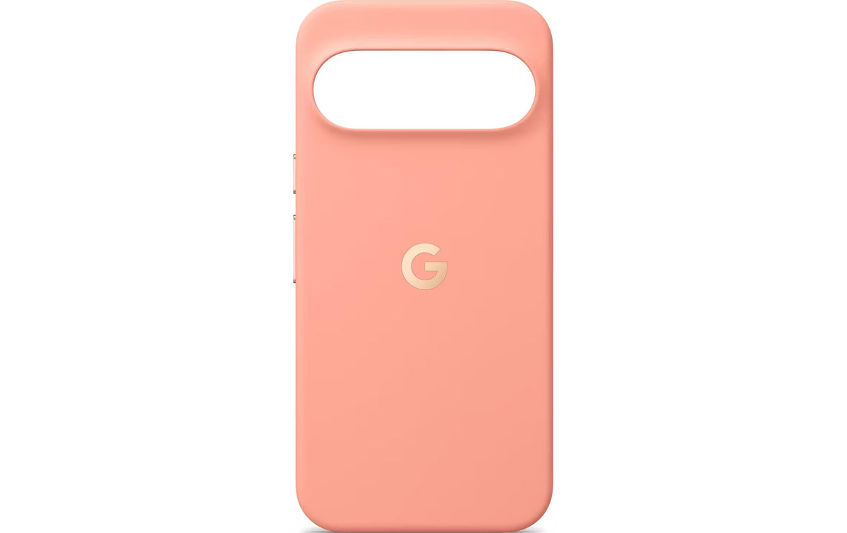 GOOGLE Pixelsnap Case, Canyon