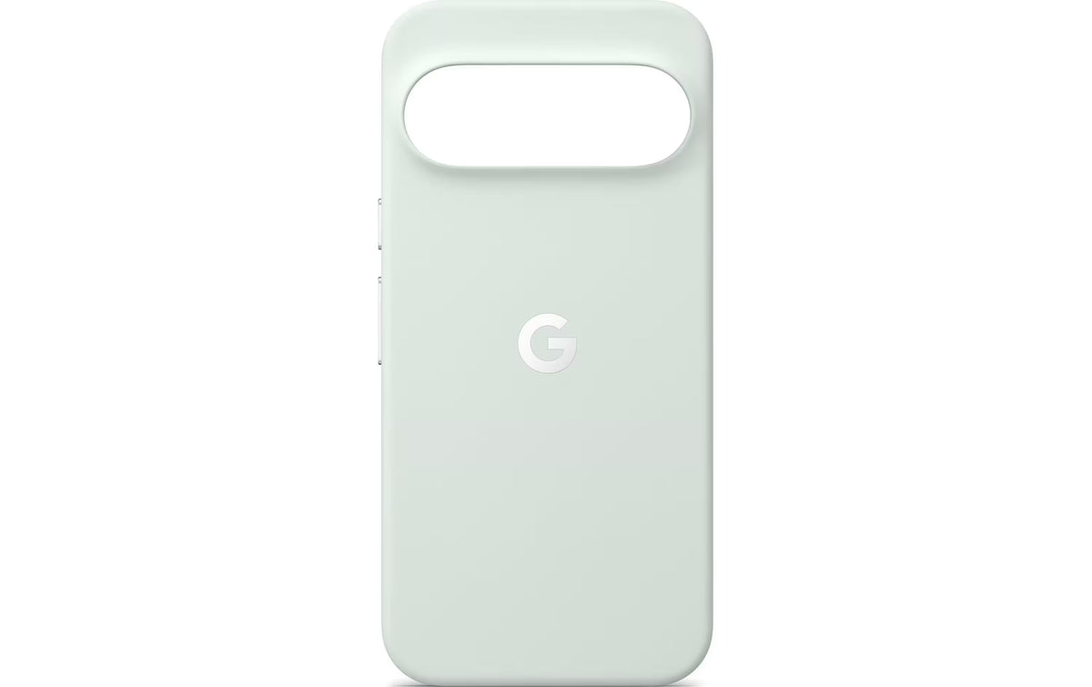 GOOGLE Pixelsnap Case, Fog