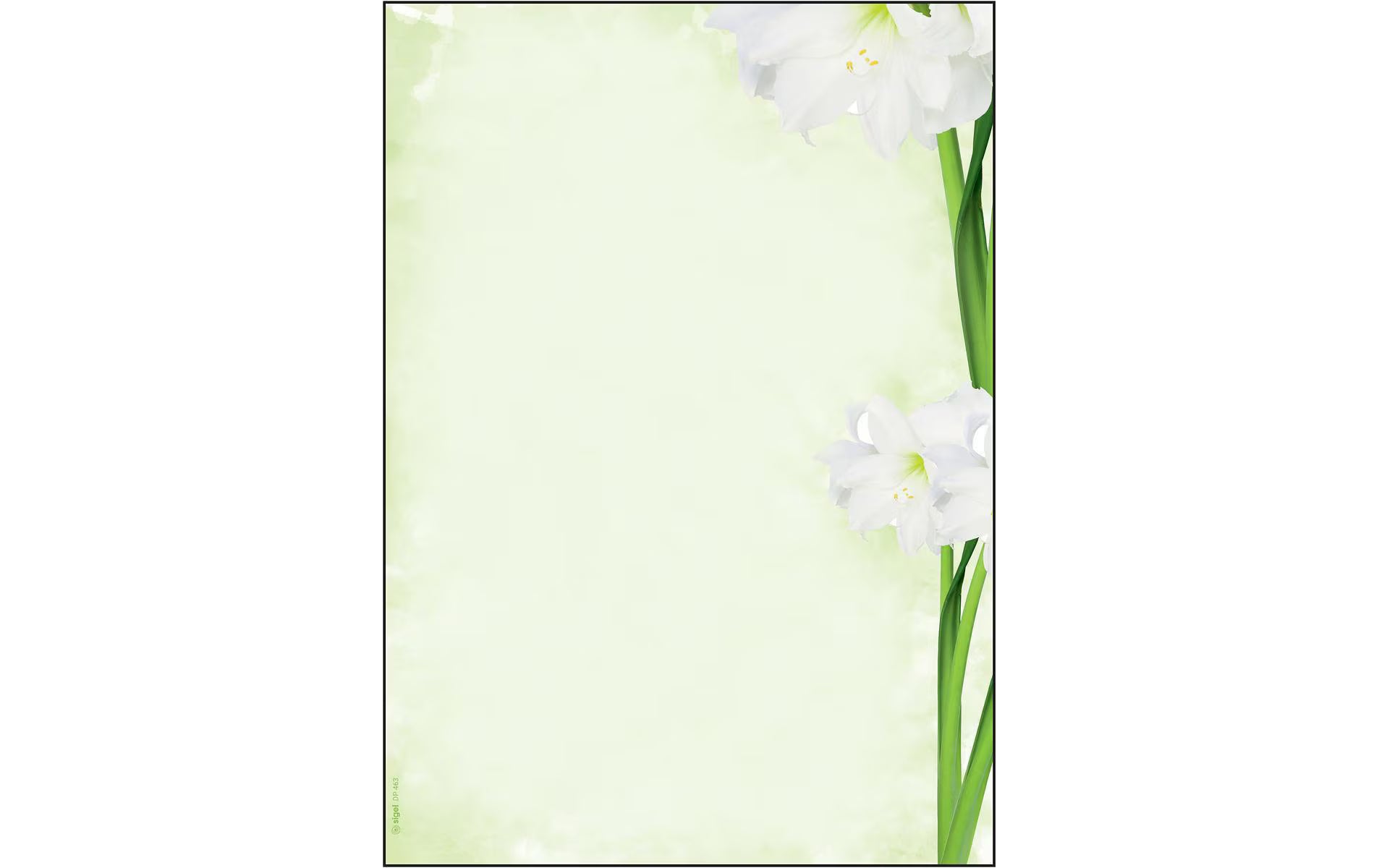 Sigel Motiv-Papier Green Flower A4