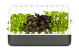 Smart Garden 9