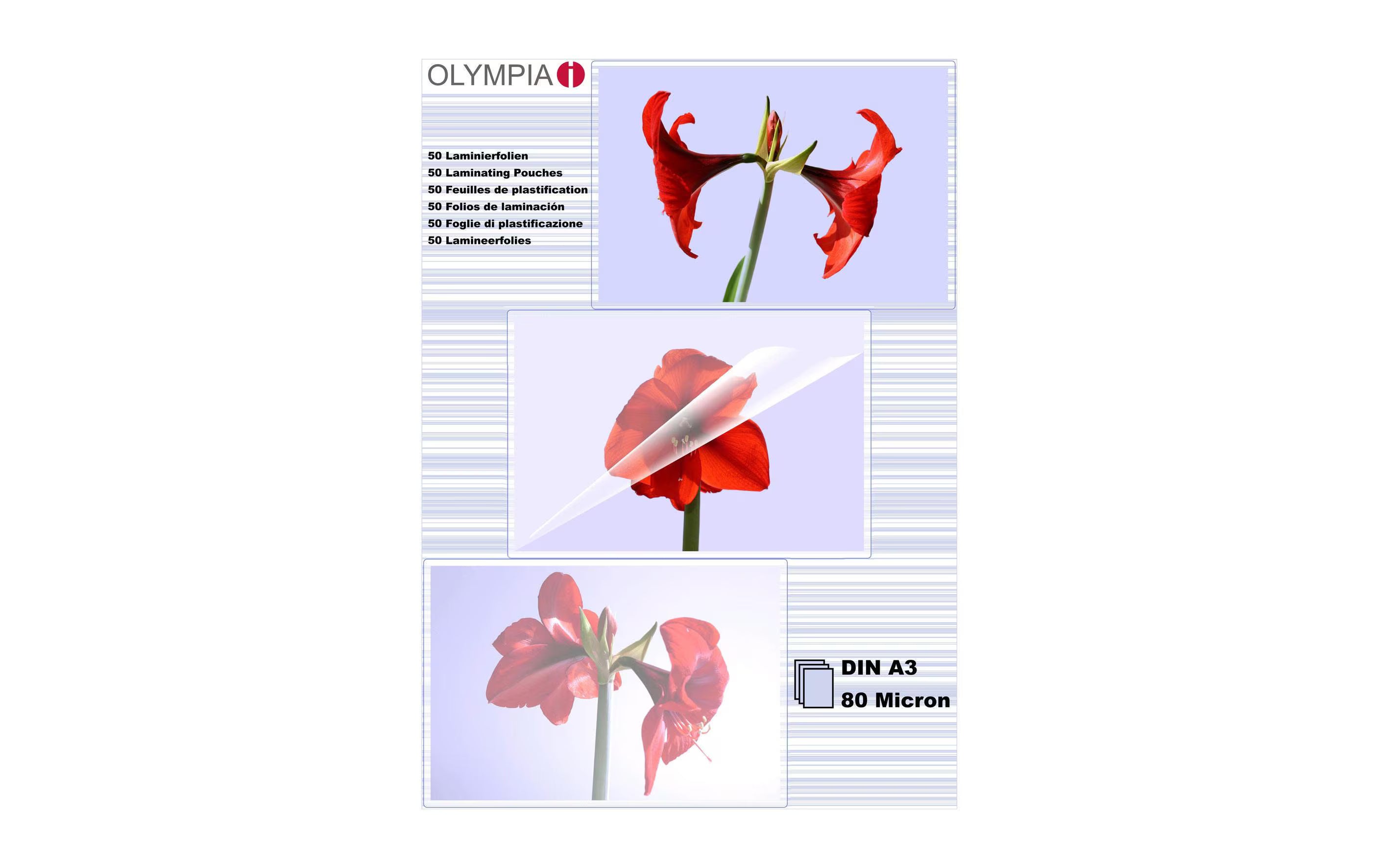 Olympia Laminierfolien DIN A3