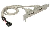 Delock Slotblech USB 2.0 Pin Header