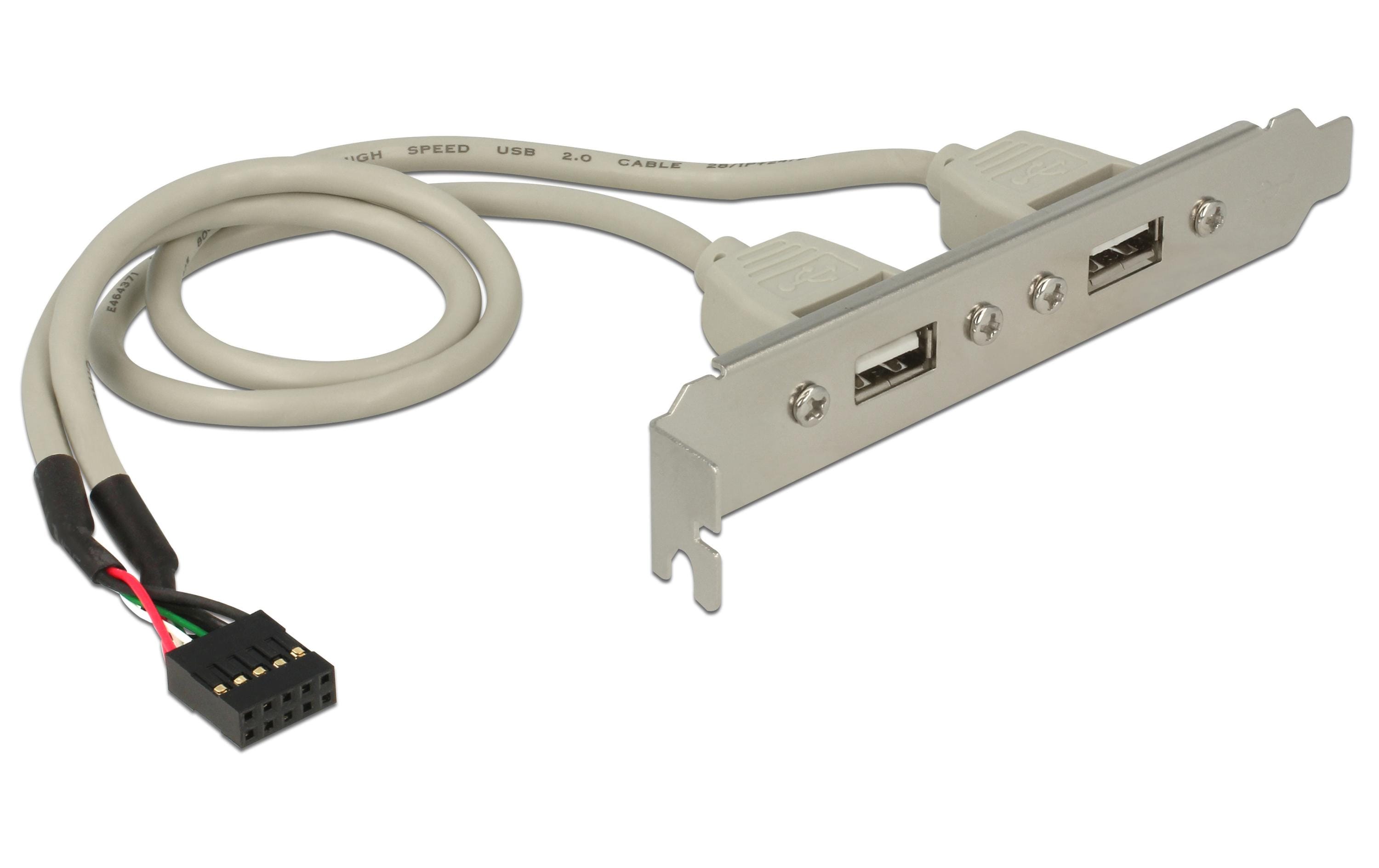 Delock Slotblech USB 2.0 Pin Header