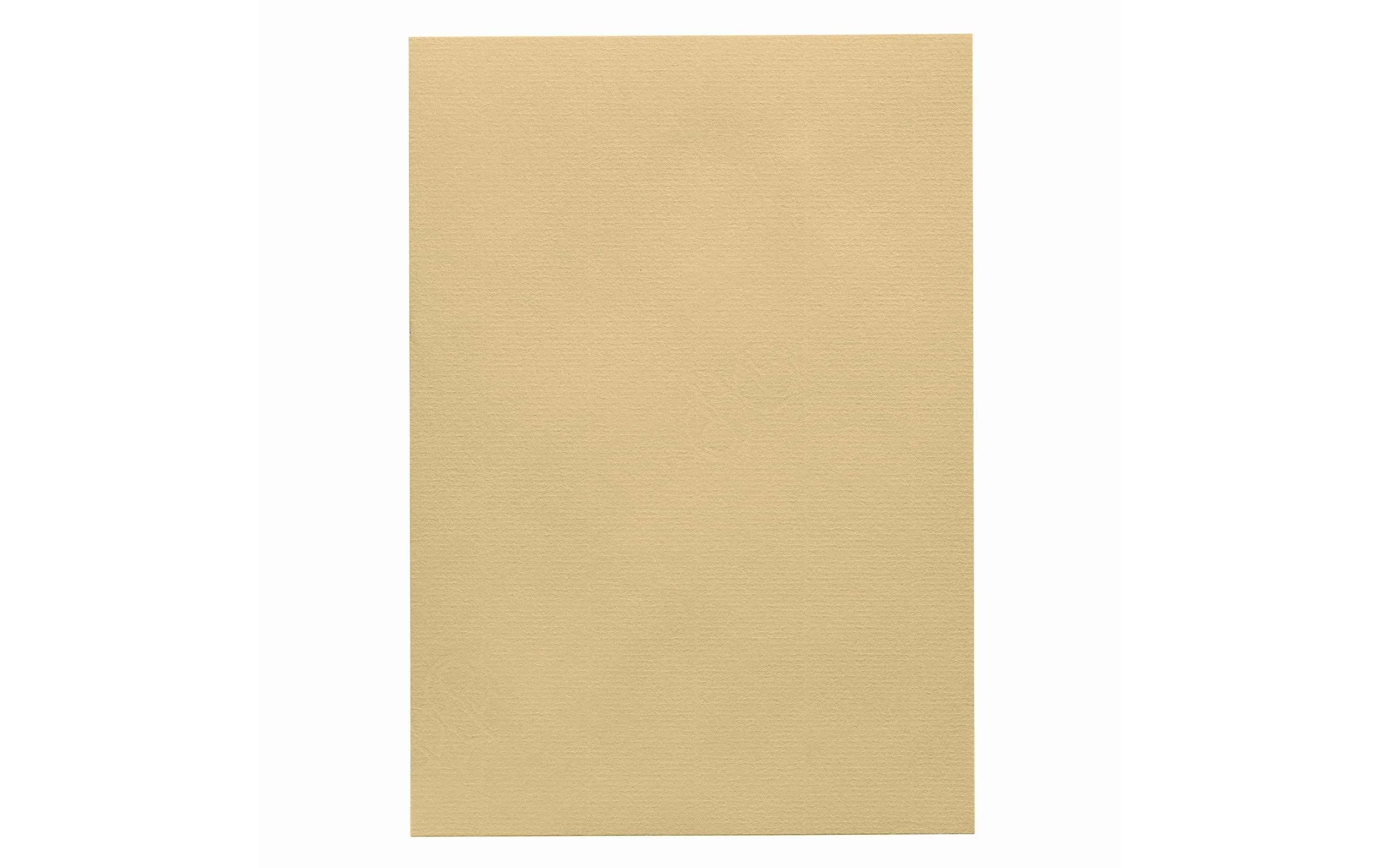 Artoz Bastelpapier 1001 A4 220 g/m²