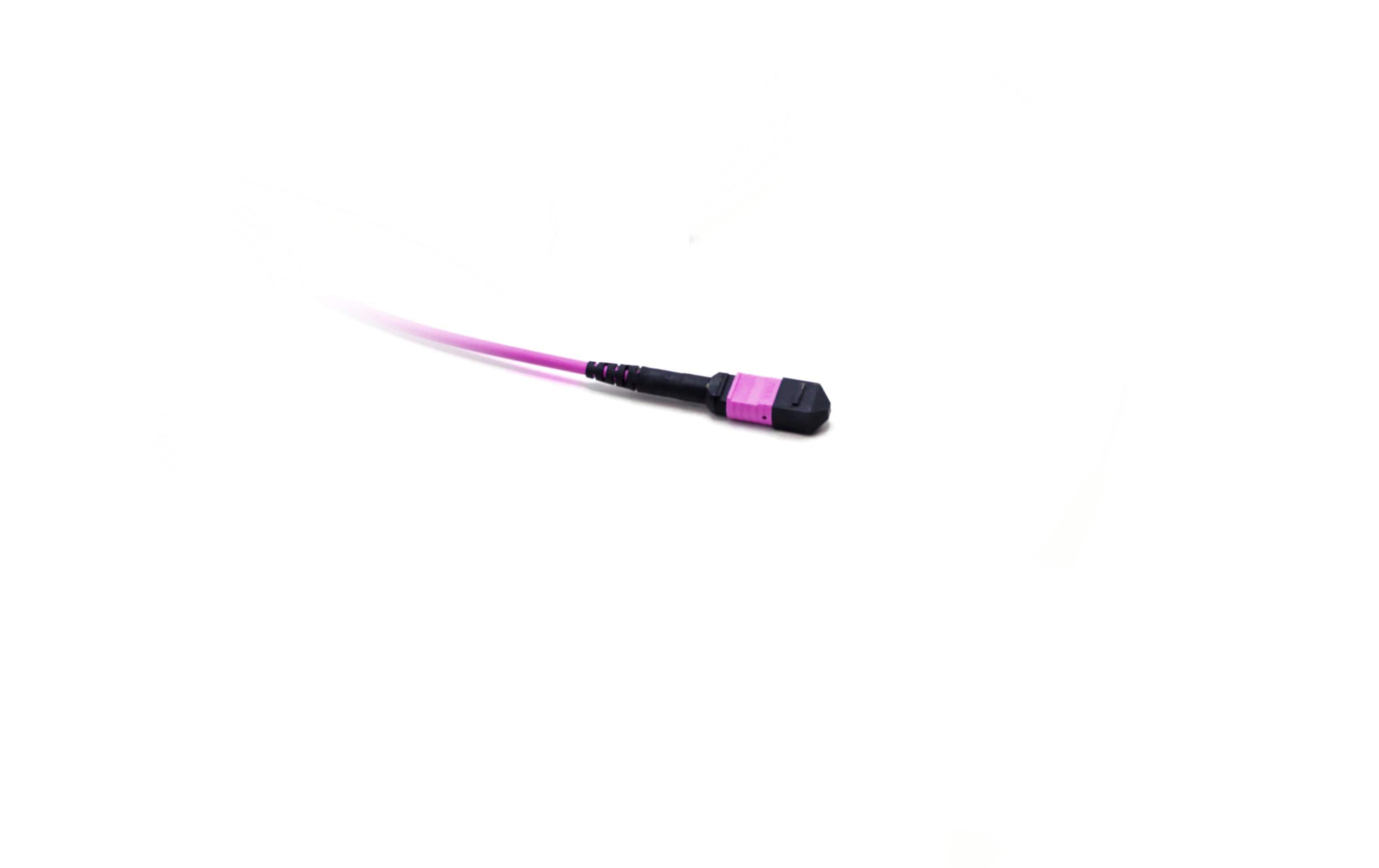 Lightwin LWL MTP Patchkabel 12-fasrig