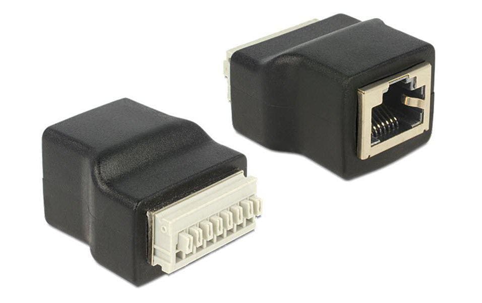 Delock RJ45 Buchse Terminalblock 8Pins