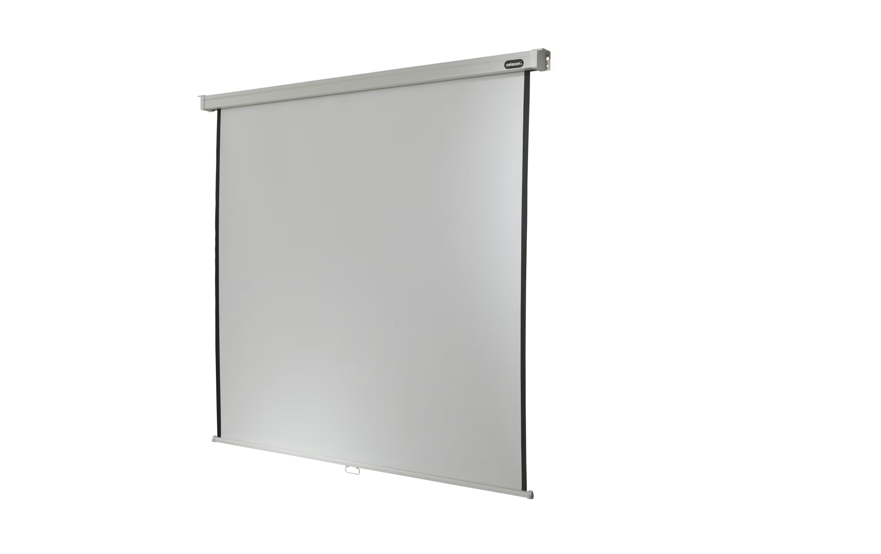 Celexon Rollo-Leinwand Pro