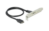 Delock Slotblech mit 1x USB Typ-C Port