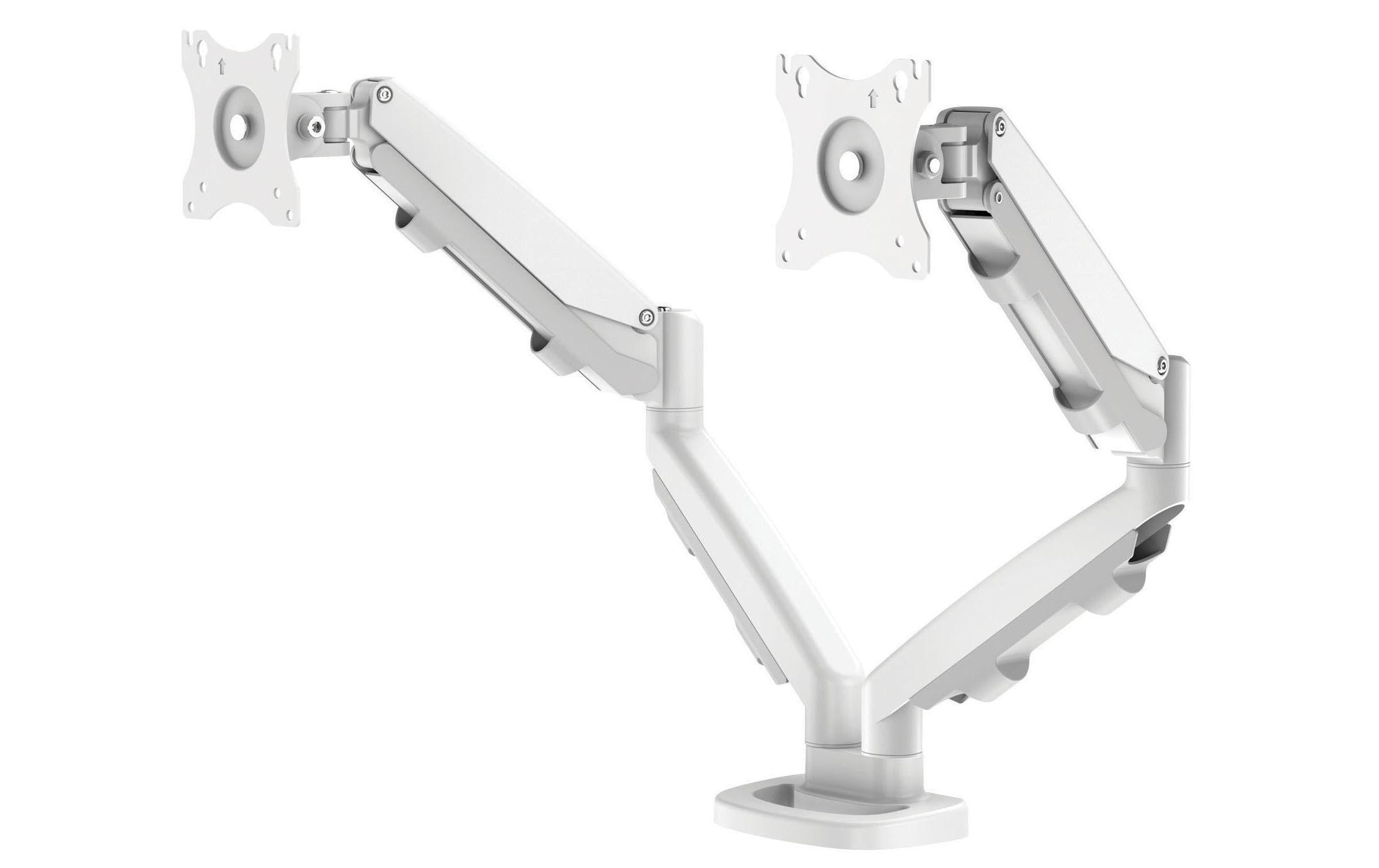 Fellowes Doppel-Monitorarm ESI Eppa