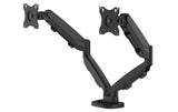 Fellowes Doppel-Monitorarm ESI Eppa