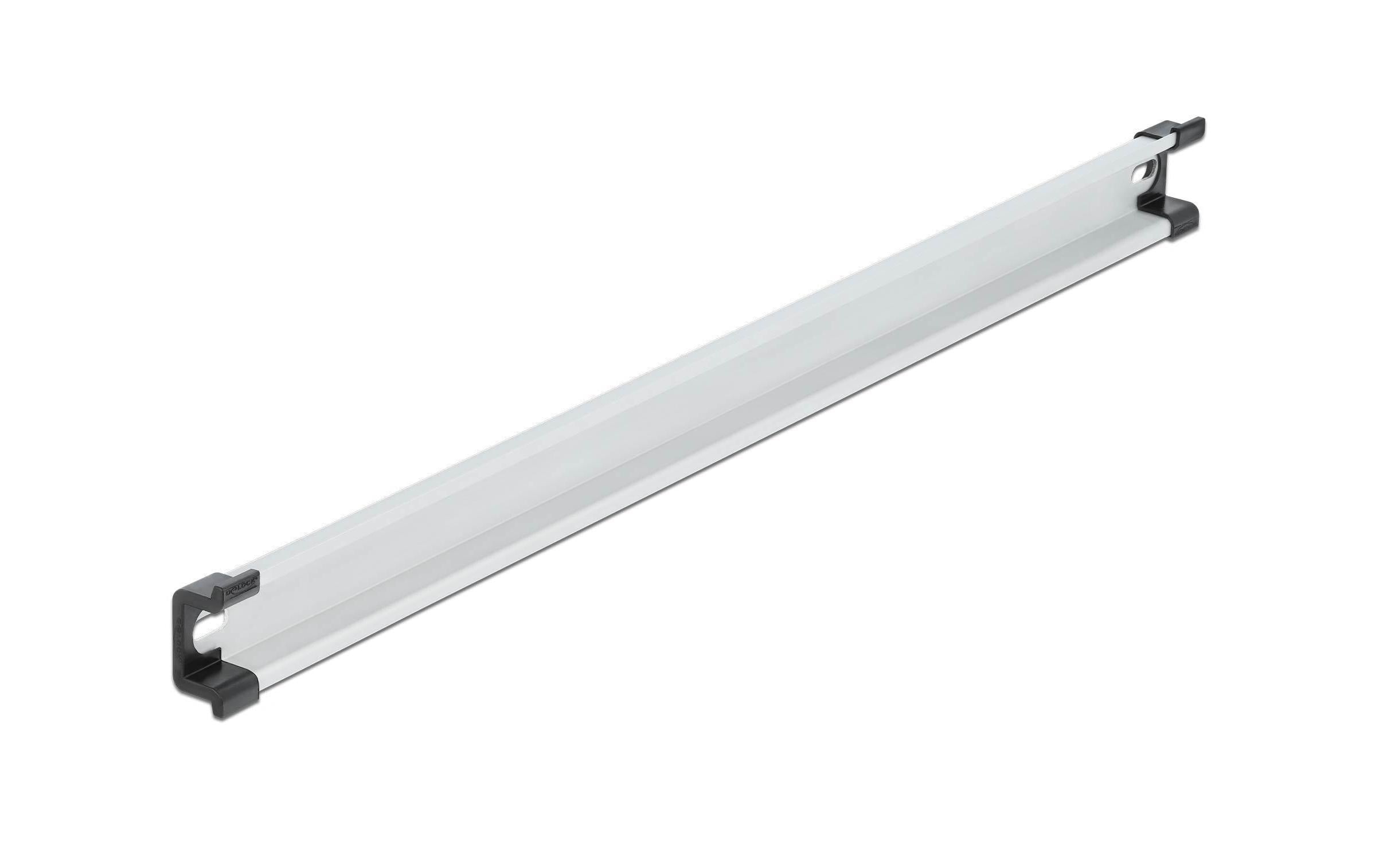 Delock Hutschiene 50cm, Befestigungslöcher