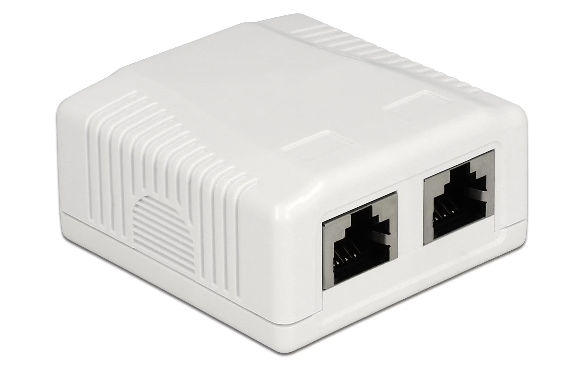 Delock RJ-45 Cat.6A Gehäuse: 2 Port