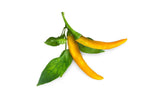Click and Grow Smart Garden Plant Pod
