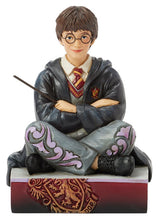 Harry Potter w/Wand