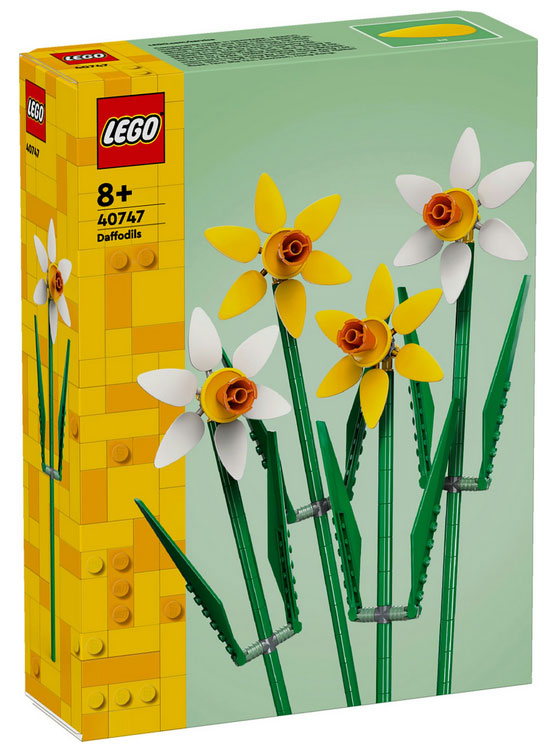 40747 Flowers Narcisi