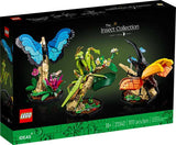 21342 Ideas Collezione di Insetti RARE