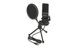 Delock Kondensator USB Mikrophon Set