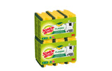 3M Scotch-Brite Classic Griffschwam