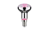 Paulmann Leuchtmittel LED PLANT E14 R50