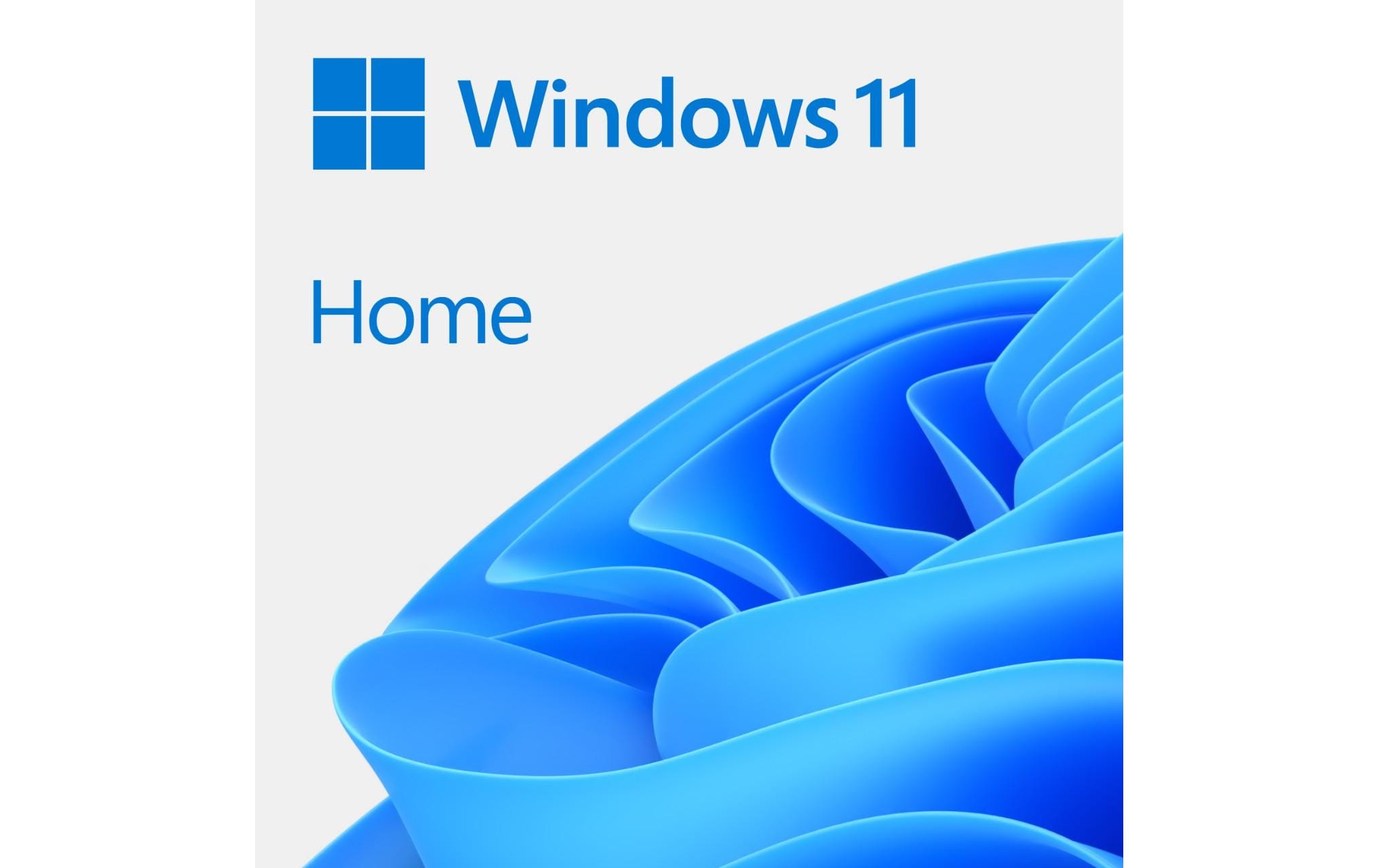 Microsoft Windows 11 Home