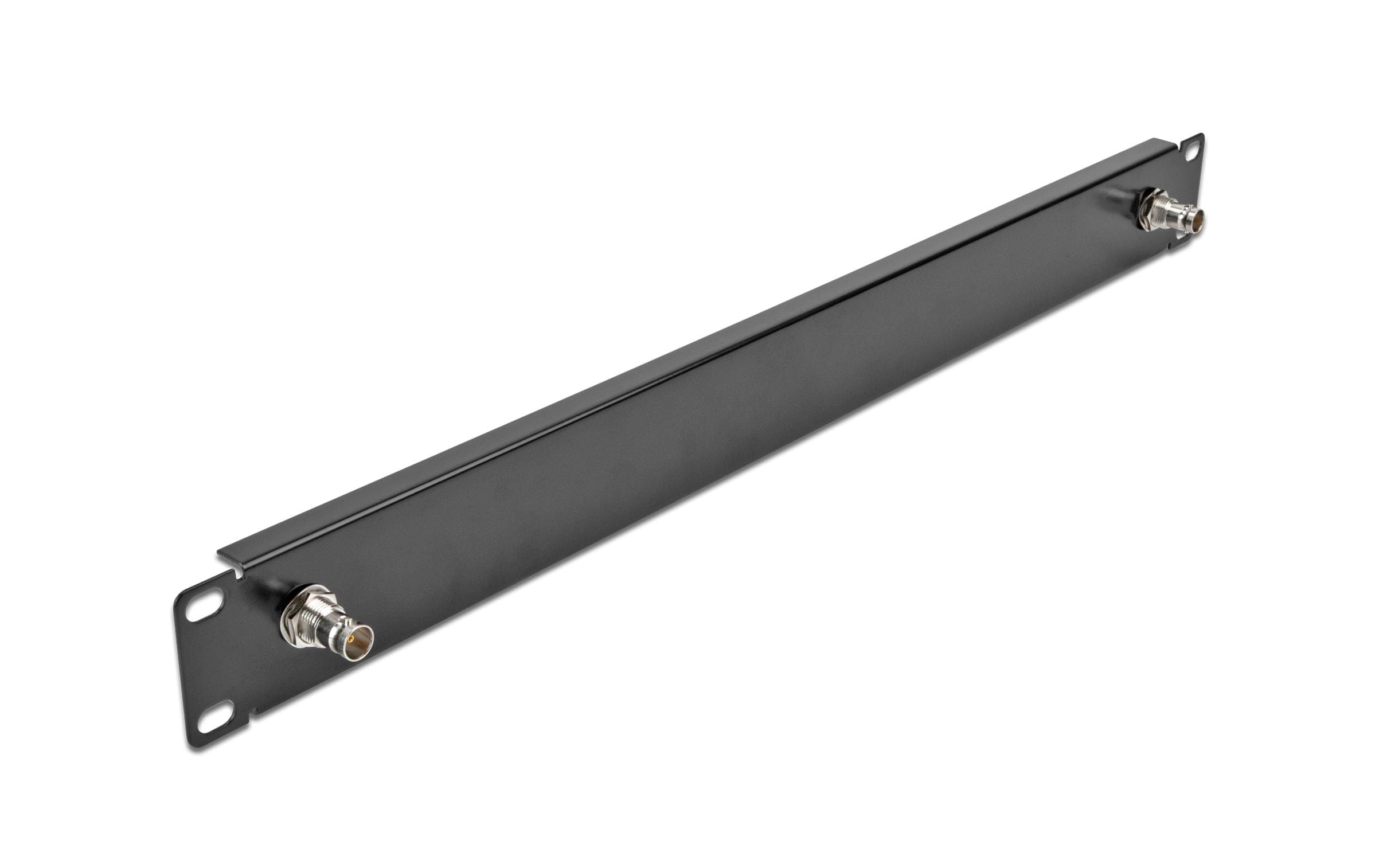 Delock 19 Panel mit 2x BNC Buchse