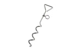 Outwell Dog Tether