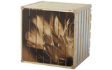 Holz Zollhaus Holzharasse Pusteblume