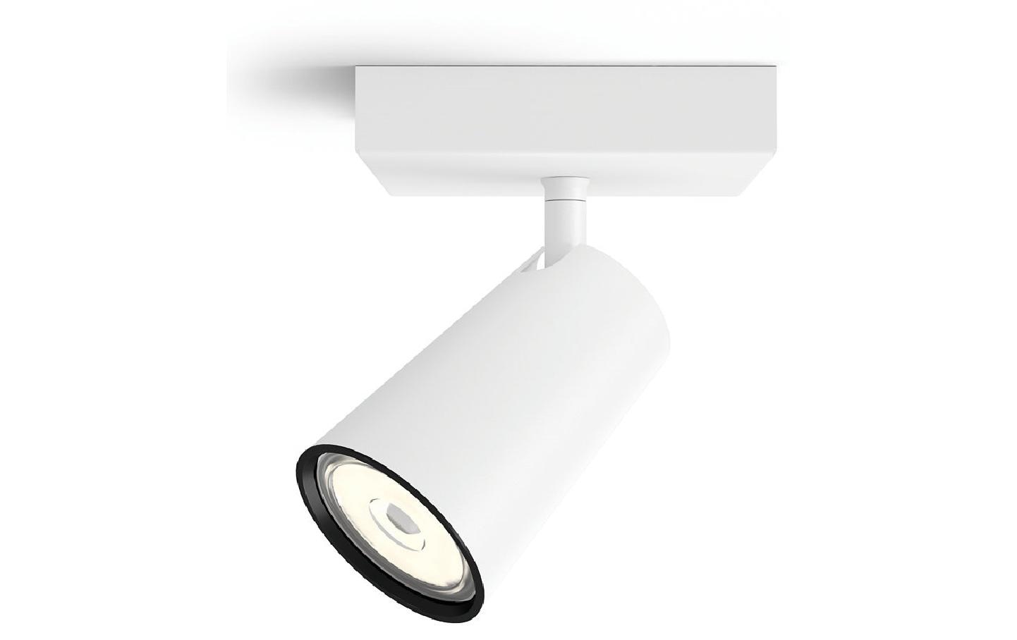 Philips Aufbauspot Paisley,