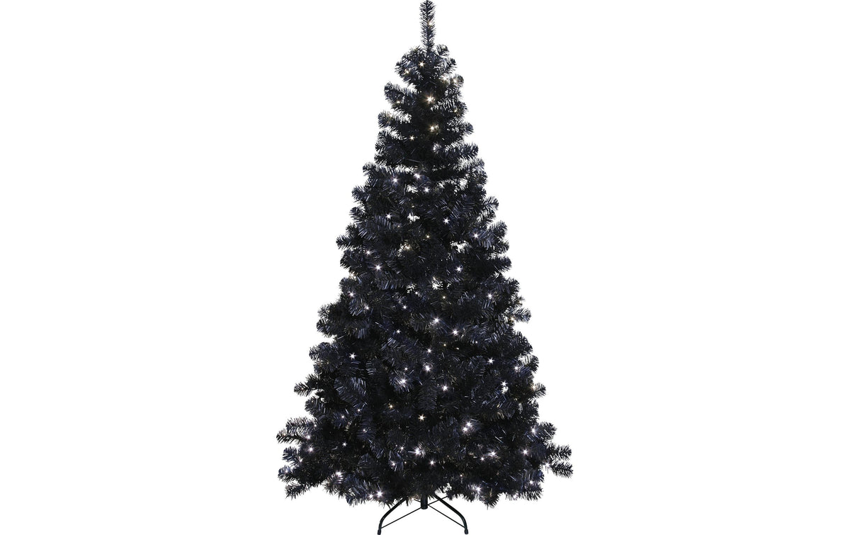 Star Trading Weihnachtsbaum Ottawa