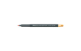 Caran dAche Filzstift Fibralo Brush