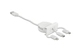 Delock Easy45 Modul 3 in 1 Aufrollkabel