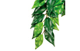 Exo Terra Jungle Plant Fikus