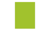 Elco Büropapier Color A4, 80 g/m²,