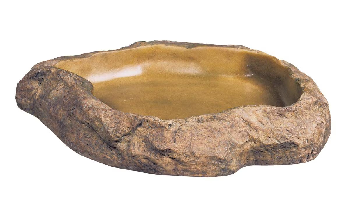 Exo Terra feeding dish