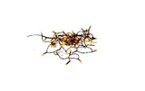 Star Trading LK LED golden 5.6m