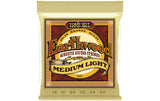 Ernie Ball 2003 Earthwood Bronze