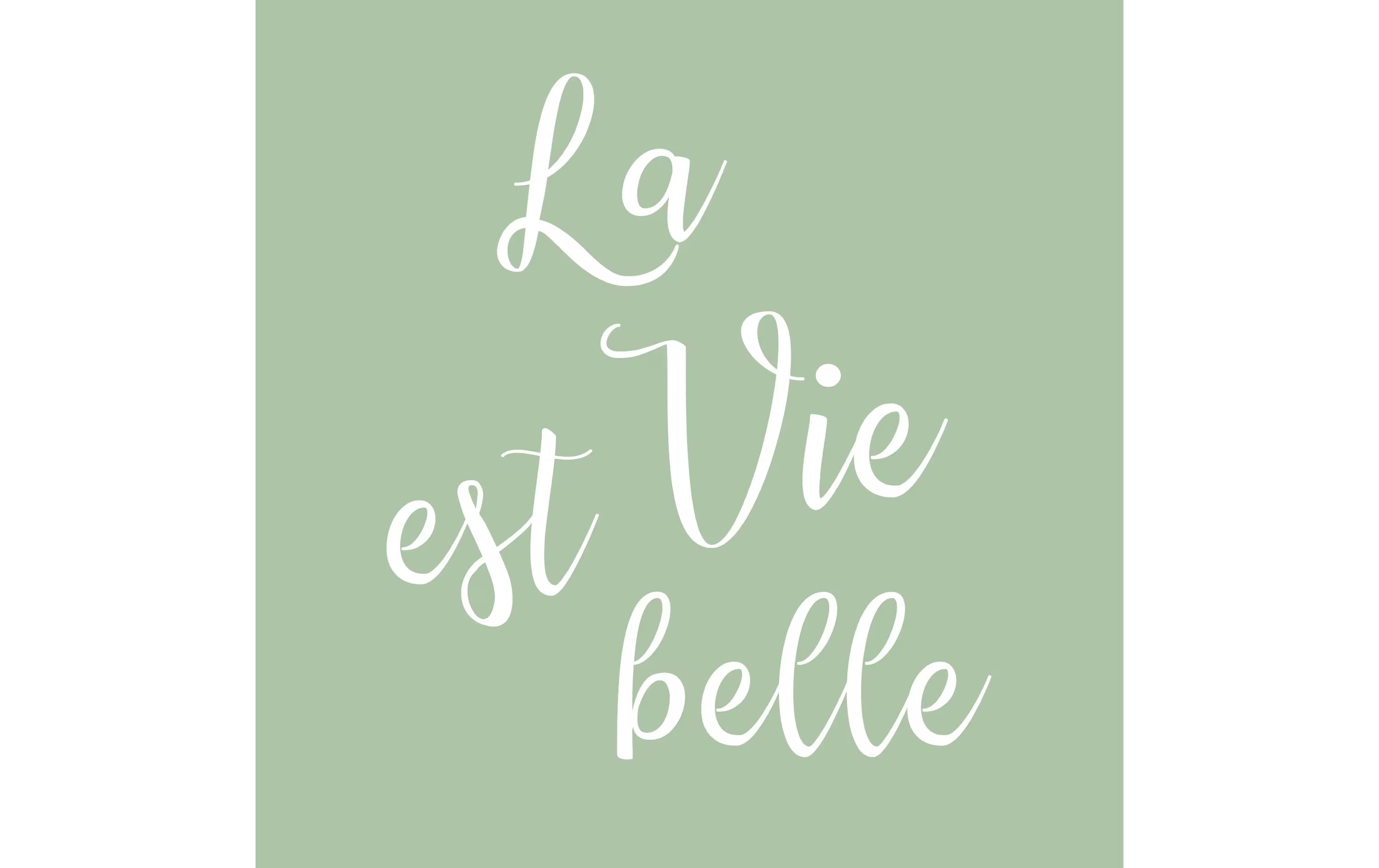 B+C Servietten La vie est belle salb.
