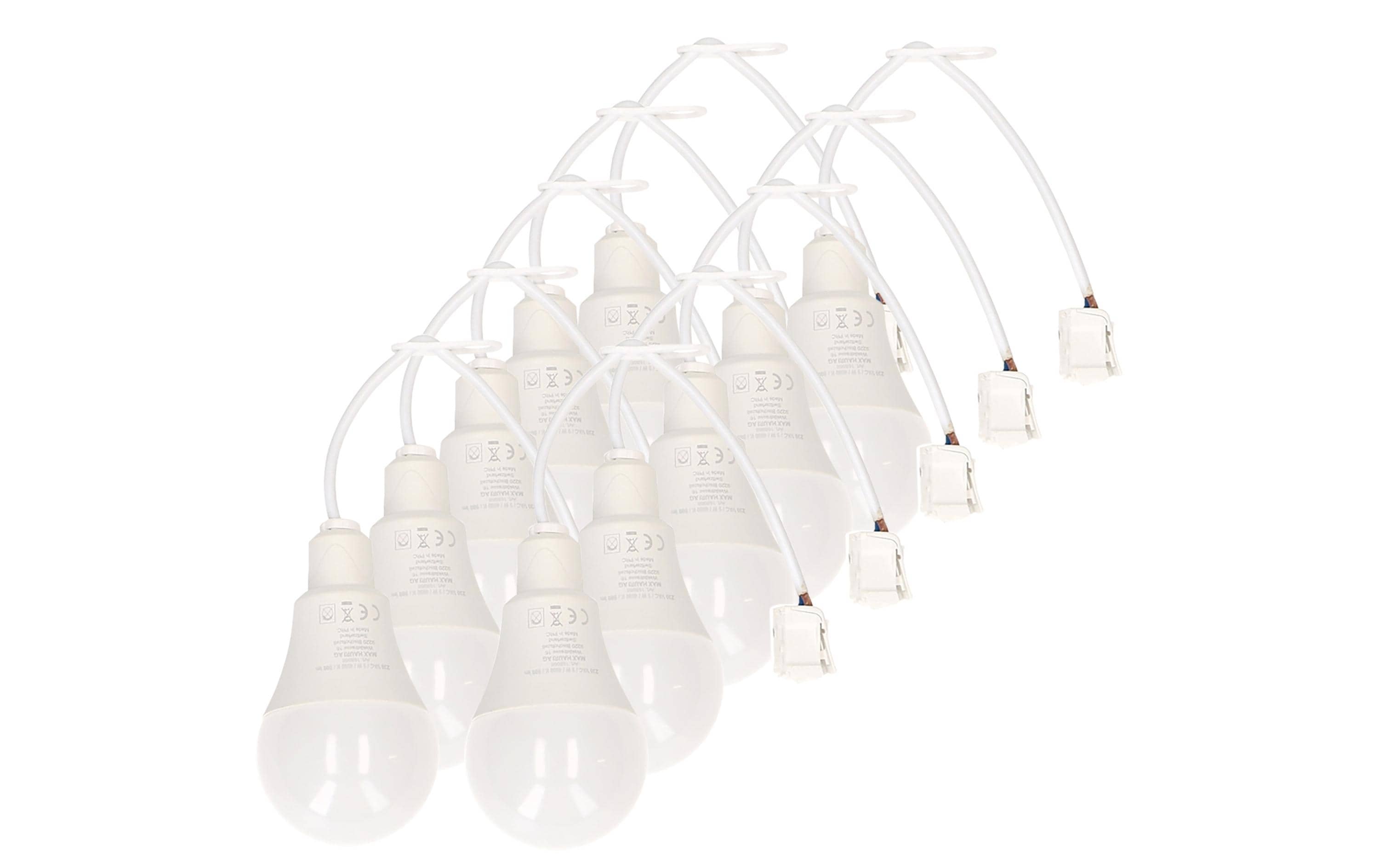 Max Hauri Baustellenlampe LED