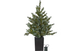Star Trading Weihnachtsbaum LED Grauland